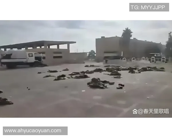 叙利亚与中国在亚洲历史上的交往与影响探讨 叙利亚与中国在亚洲历史上的交往与影响探讨