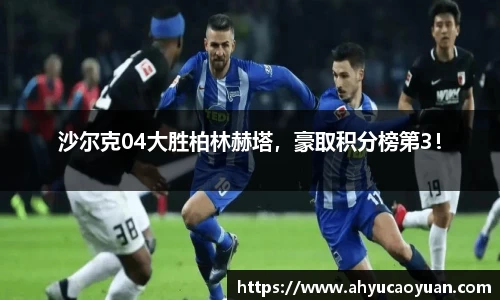 韦德bevictor