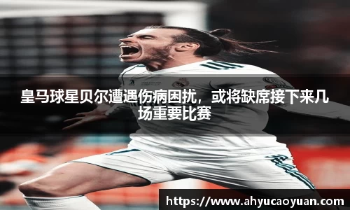 韦德bevictor