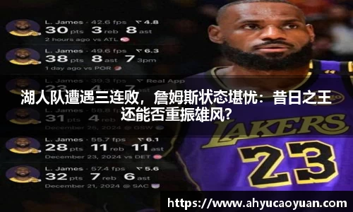 韦德体育