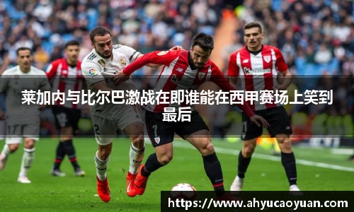 韦德体育
